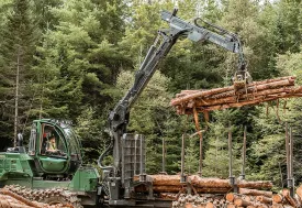 Learning logging thumbnail