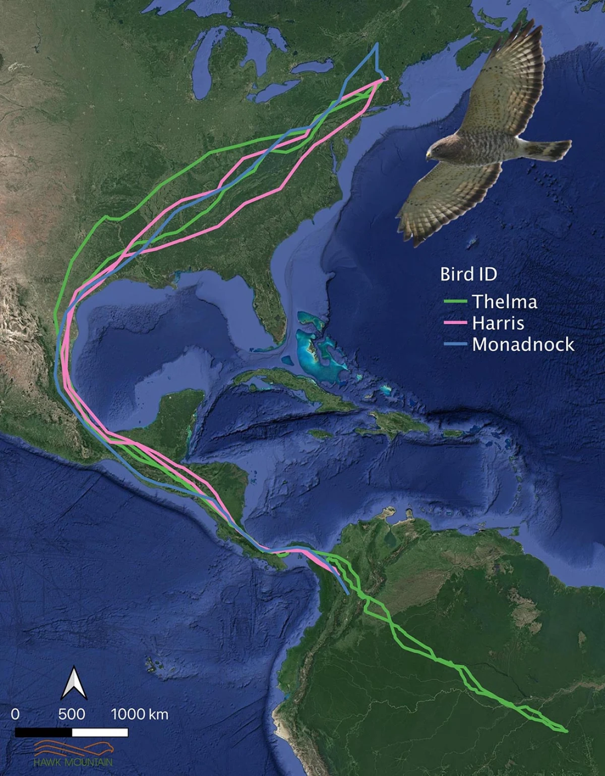 Hawk map