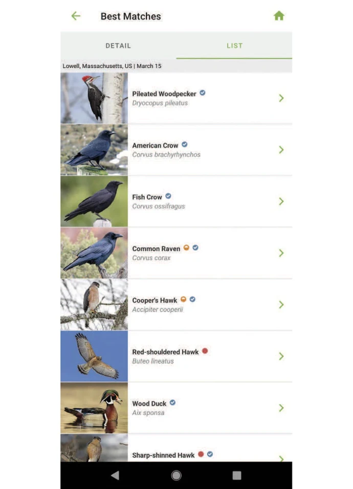Merlin app