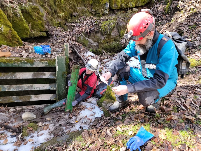 Fieldwork