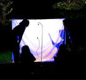 Moth observation thumbnail