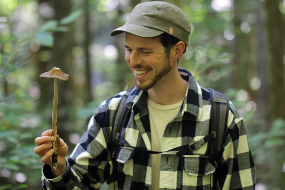 Mushroom forager