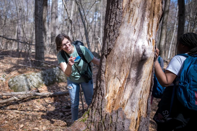 Hike tree