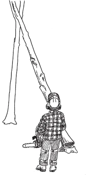 Hung tree thumbnail