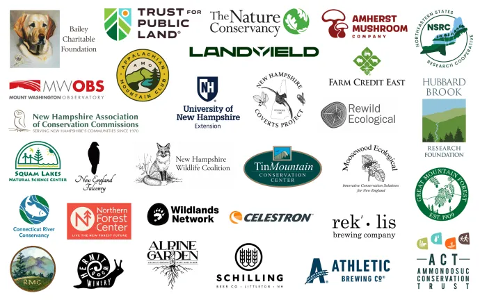 Sponsors