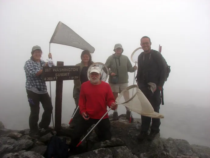 Mt Washington