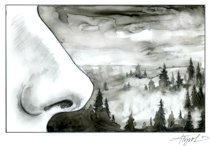 Petrichor