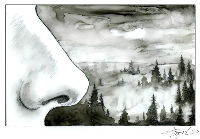 Petrichor