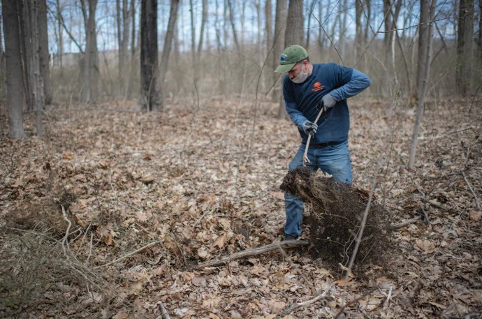 Pulling burning bush