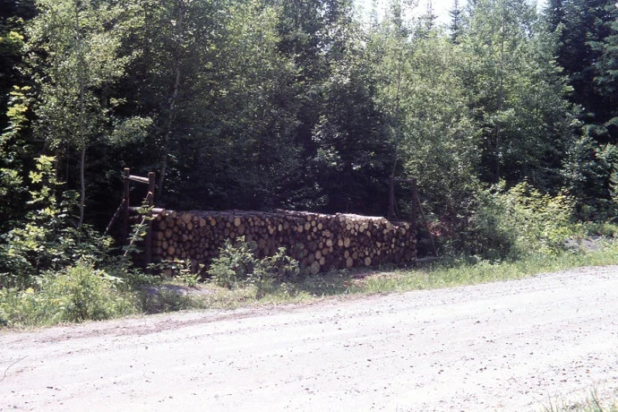 Pulp harvest