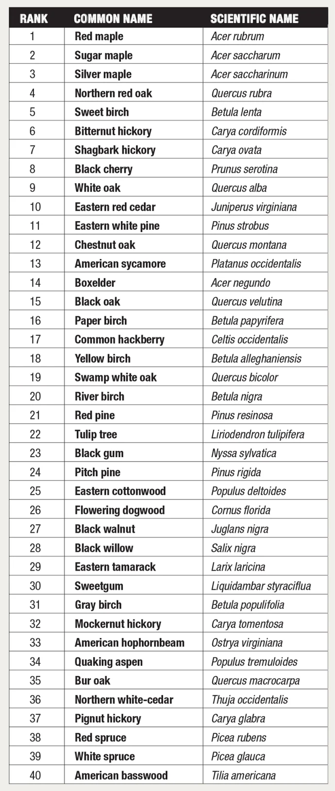 Tree species