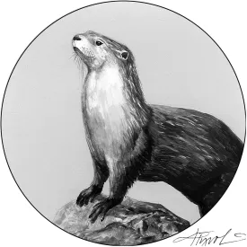 River otters thumbnail