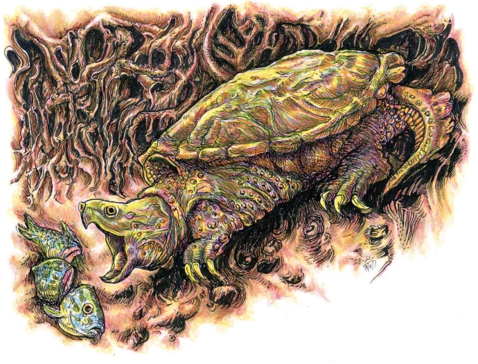 Snapping turtle