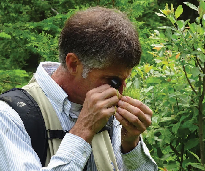 Investigating bryophytes
