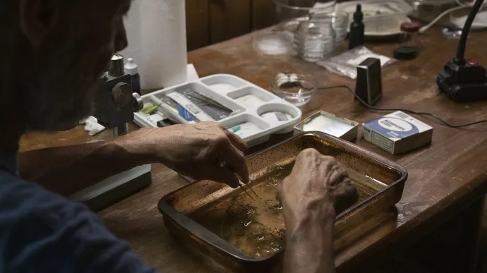Sorting specimens