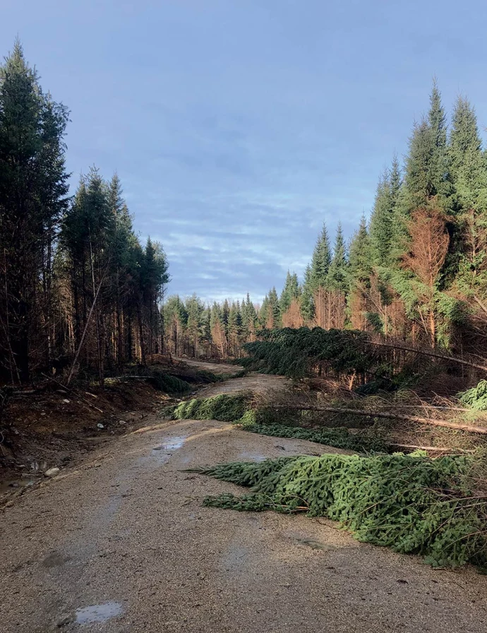Storm damage