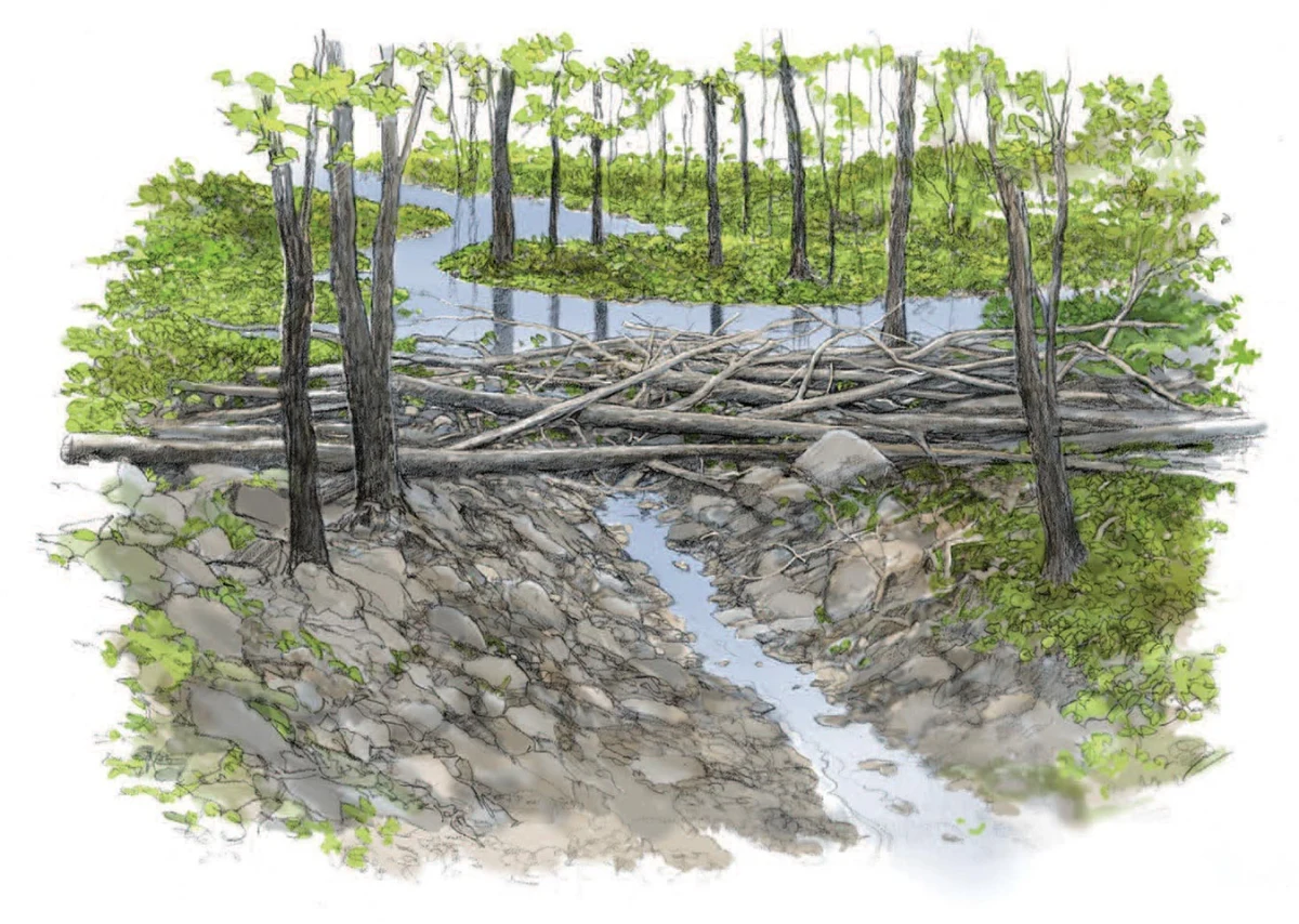 Strategic wood