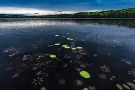 Tilton Pond thumbnail