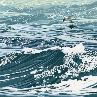 Tern of the tide cover by Sherrie York