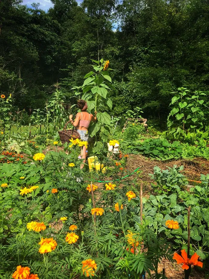 Deana Tempest Thomas garden