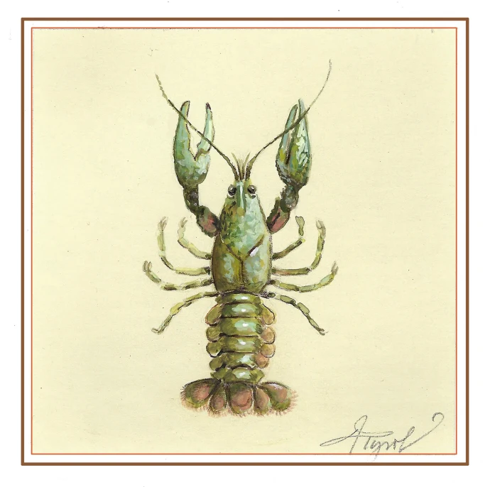 Crayfish