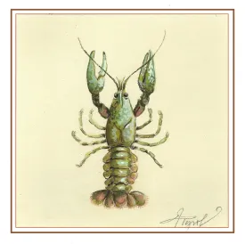 Crayfish thumbnail