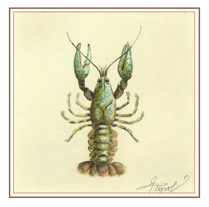 Crayfish