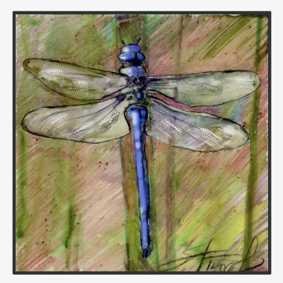 Dragonfly cover by Adelaide Tyrol