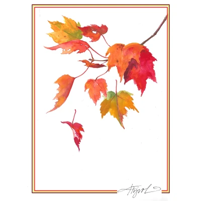 Autumn leaves cover by Northern Woodlands