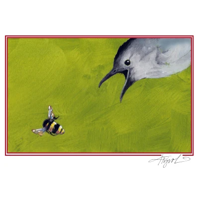 Gray catbird cover by Adelaide Tyrol