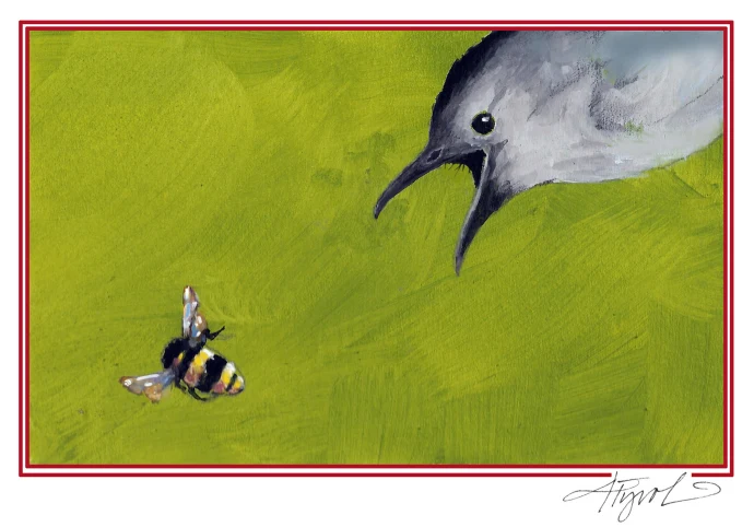 Gray catbird