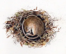 Jumping mouse thumbnail