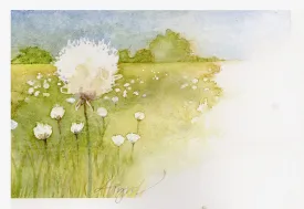 Cottongrass thumbnail