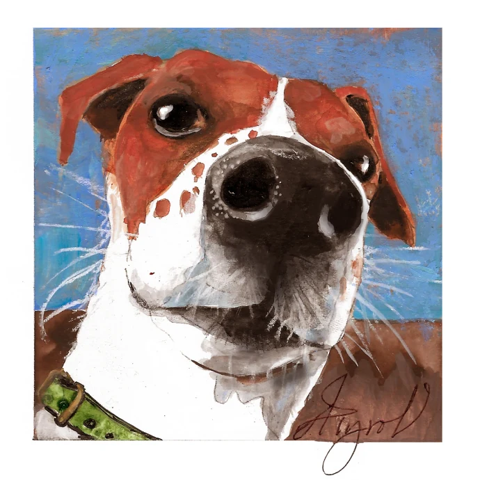Dog nose