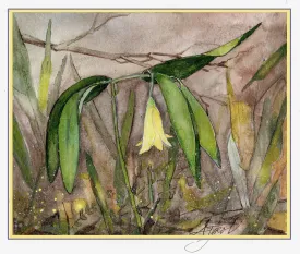 Bellwort thumbnail