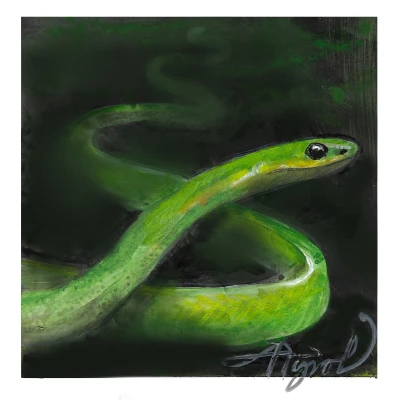 Green snake cover by Adelaide Tyrol