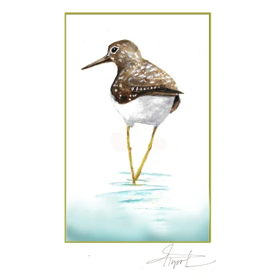 Sandpiper cover by Adelaide Tyrol