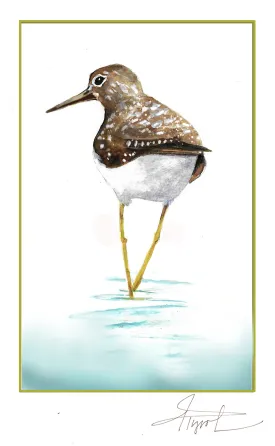 Sandpiper thumbnail