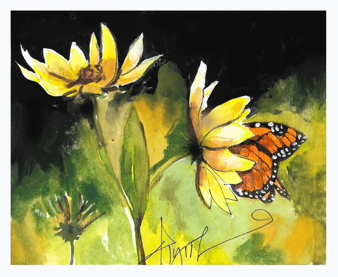 Sunflower