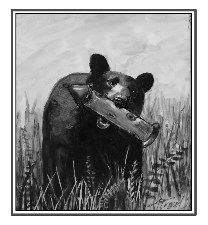 Bears and birdfeeders