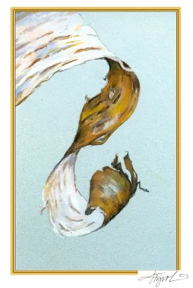 Birch bark thumbnail