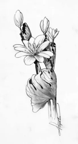 tos_bloodroot_web.jpg thumbnail