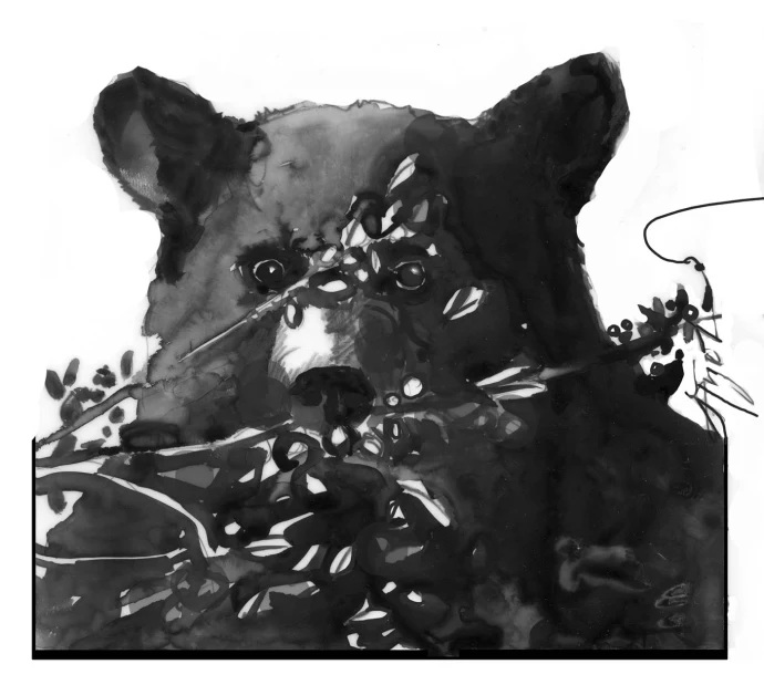 Blueberry and bear