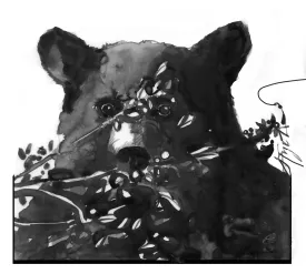 Blueberry and bear thumbnail