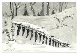Christmas fern thumbnail