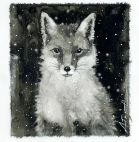 tos_fur_fox_web.jpg thumbnail