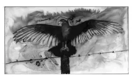 tos_horaltic_vulture_web.jpg thumbnail