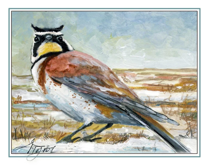 Horned lark