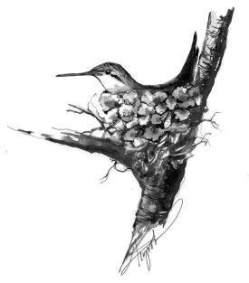 tos_hummingbird_nest_web.jpg thumbnail