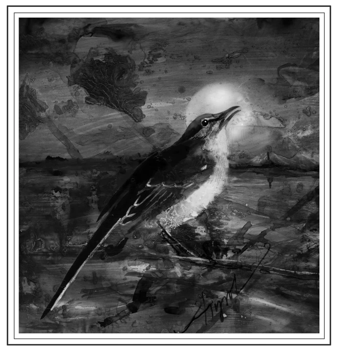 Mockingbird